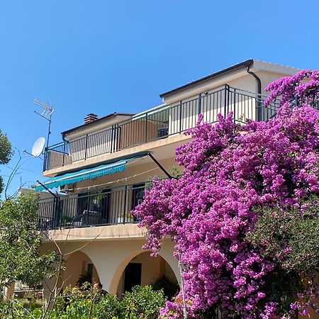 Apartments Lilly زابوريتش المظهر الخارجي الصورة